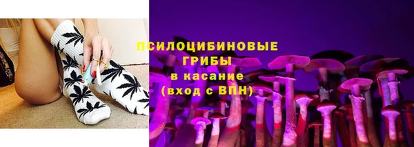 тгк Бородино