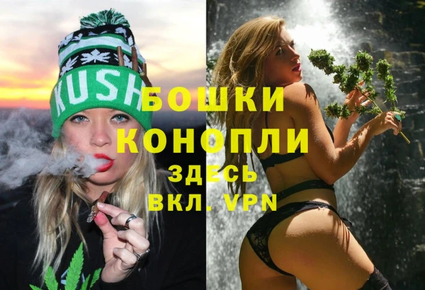 тгк Бородино