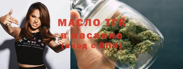 тгк Бородино
