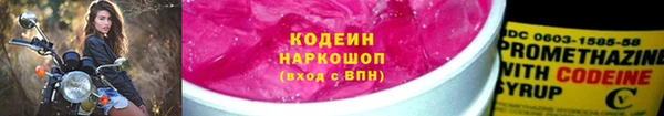 тгк Бородино