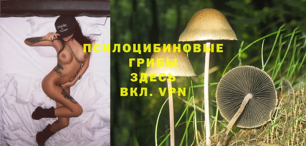 тгк Бородино