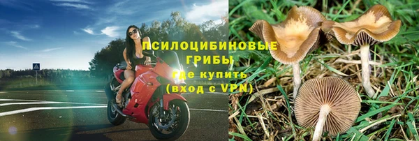 тгк Бородино