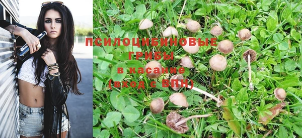 тгк Бородино