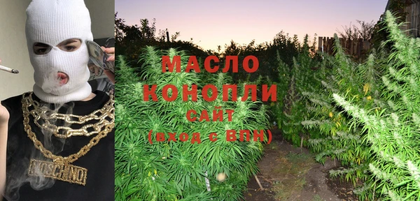 тгк Бородино