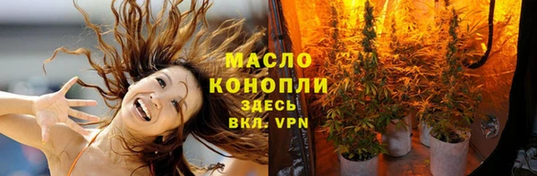 тгк Бородино