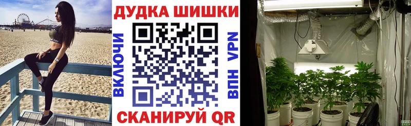 Бошки Шишки MAZAR  Купить где  Нурлат 